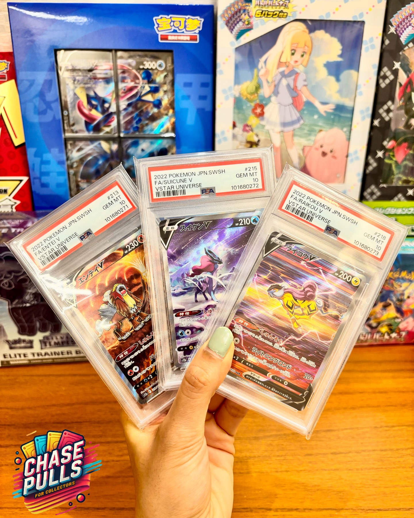 Legendary Trio — Perfectly Aligned.
Entei, Suicune & Raikou V — PSA 10 GEM MINT with sequential certification numbers, and sequentially numbered in the set (#215, #217, #218).
A true collector’s gem.
Dropping soon at www.chasepulls.in
Let the chase begin !
#PokemonTCG #PokemonCards #PSA10 #GradedPokemonCards #PSAGrading
#PokemonCardCollector #RarePokemonCards #ChaseCards #PokemonCommunity #PokémonVSTAR
#SuicuneV #EnteiV #RaikouV #LegendaryBeasts #JohtoLegends
#CardCollector #TCGCollector #SequentialPSA #PSACollection
#ChasePulls #IndiaCollectors #AuthenticPokemonCards #PokemonIndia #CollectiblesIndia