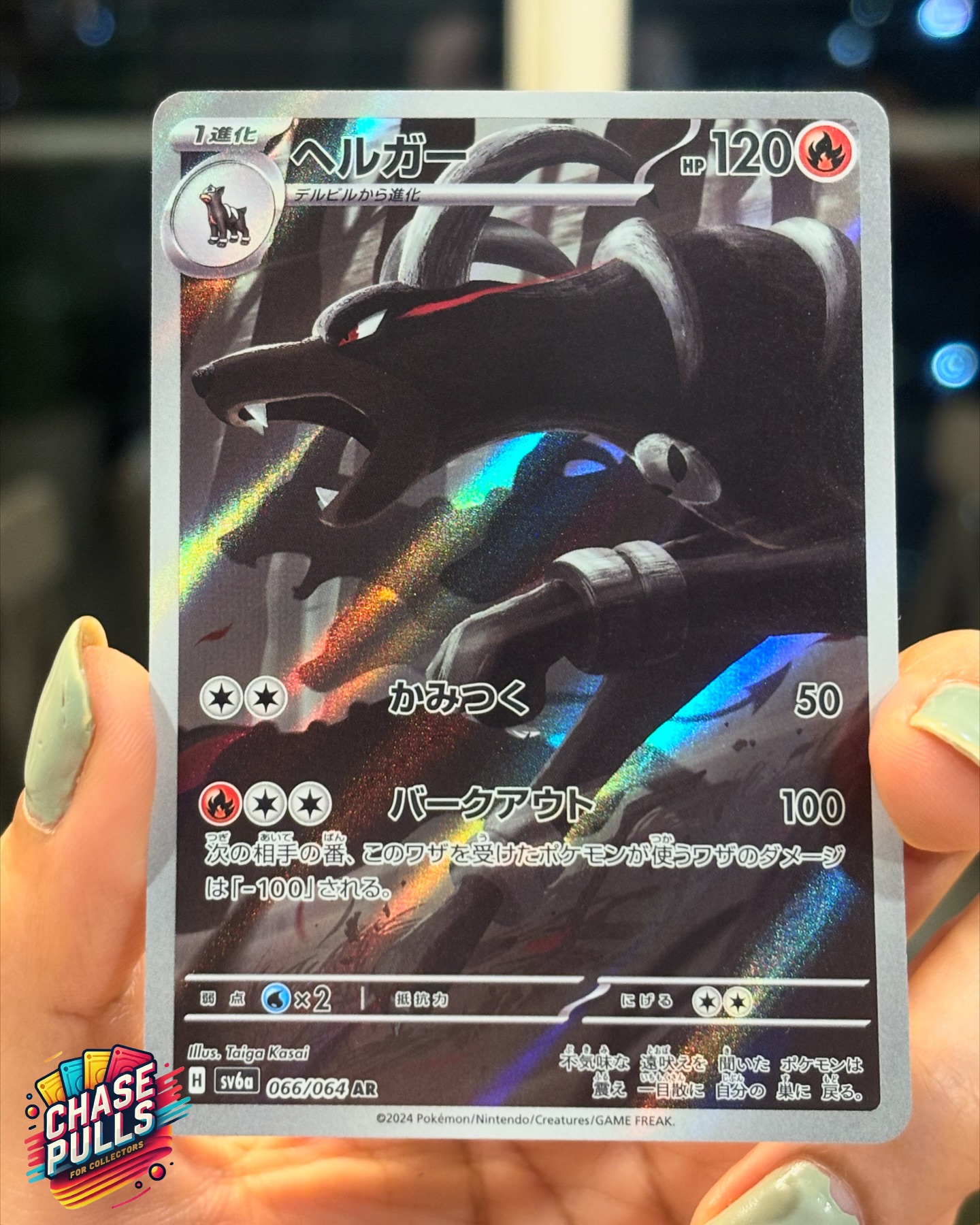This stunning Houndoom showcases Taiga Kasai’s signature style — intense brush strokes, a dark, moody palette, and the raw power of a loyal beast in battle. The shadows, flames, and metallic detailing perfectly echo Houndoom’s dual Fire-Dark type.
On sale very soon at www.chasepulls.in
#ChasePulls #Houndoom #PokemonTCG #PokemonCards #ArtRare #SV6a #NightWanderer #TaigaKasai #FireTypePokemon #DarkTypePokemon #JapanesePokemonCards #PokemonCardArt #TCGCollectors #RarePokemonCard #PokemonIndia #PSAready #PokémonCommunity #CardCollectors #PokémonSales #TCGaddict #pokemonpulls