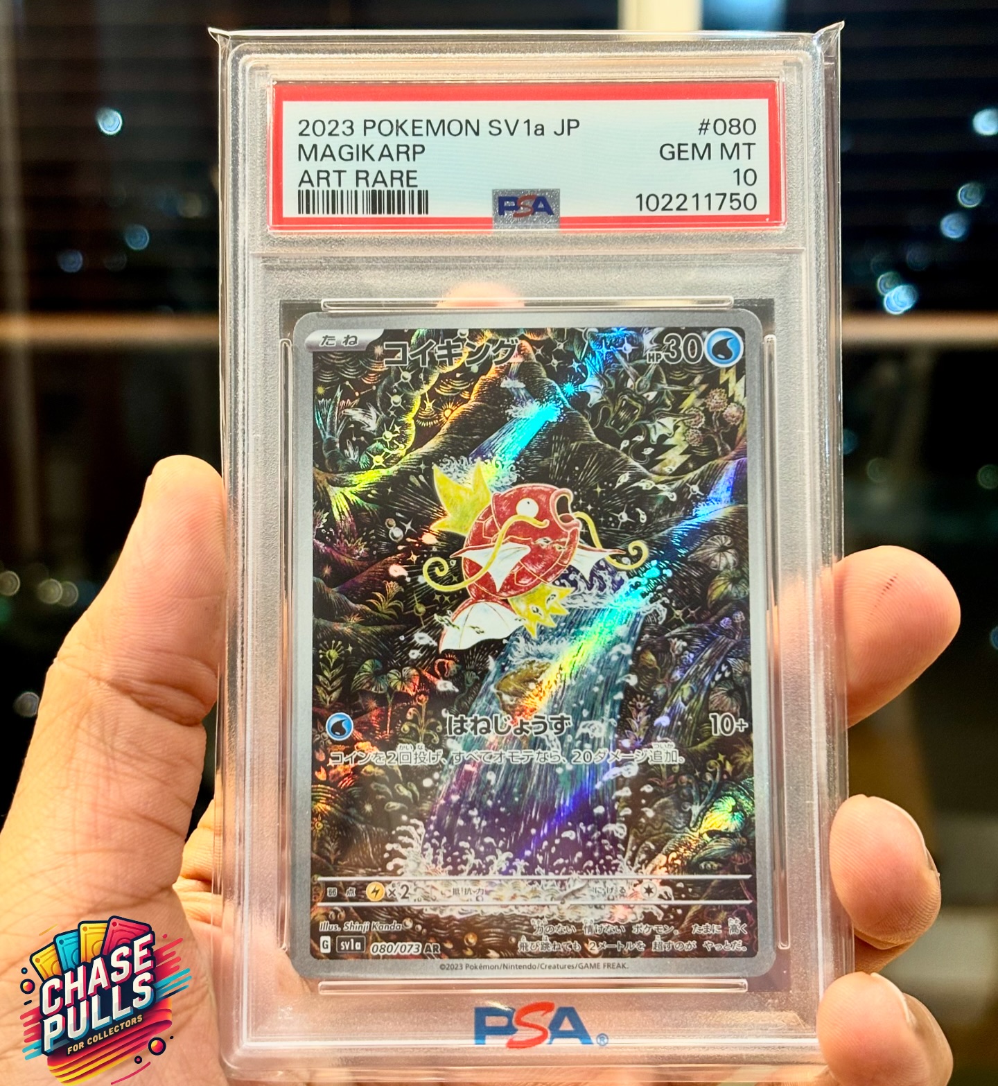 A surreal masterpiece by Shinji Kanda — one of Pokémon TCG’s most iconic and avant-garde illustrators, this piece perfectly showcases his surreal, psychedelic style. The card captures Magikarp mid-leap through a shimmering cascade, around a dreamlike, forested waterfall.
The signature use of bold strokes, vibrant color clashes, and exaggerated, almost storybook-like detail elevates this card into a moving piece of art. It’s whimsical, chaotic, and nostalgic all at once—representing the wild determination of Magikarp, a fan-favorite symbol of underdog strength.
Available very soon at www.chasepulls.in Stay tuned!
#PokemonCards #PokemonTCG #Magikarp #TripletBeat #ArtRare #PSA10 #TomokazuKomiya #JapanesePokemonCards #ChasePulls
#CardCollector #GradedPokemonCards #PSAGrading #RareFinds #CollectorsDream #ComingSoon #NowAvailable #HypeDrop