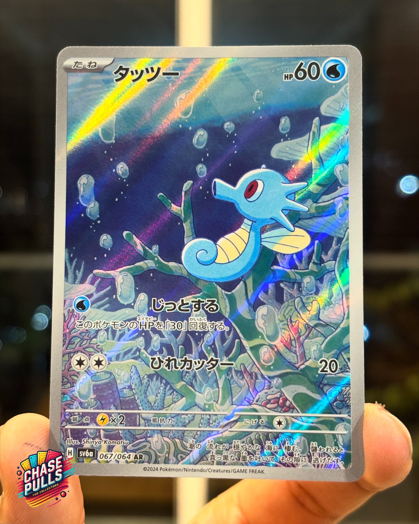 Underwater vibes 🌊✨ Horsea looking calm and magical in its coral home 💙 #PokemonTCG #Horsea #PokemonArt #ChasePulls #pokemontcgindia #pokemonindia