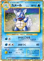 Wartortle #2